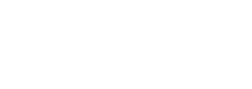 Vitesco Technologies